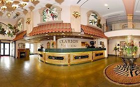 Clarion Branson